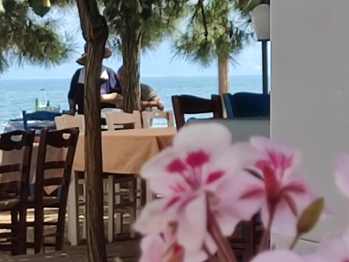 Willa Look To The Sea Nea Karvali Zewnętrze zdjęcie